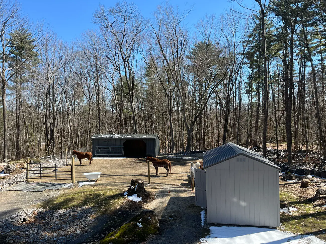 Equestrian Solutions